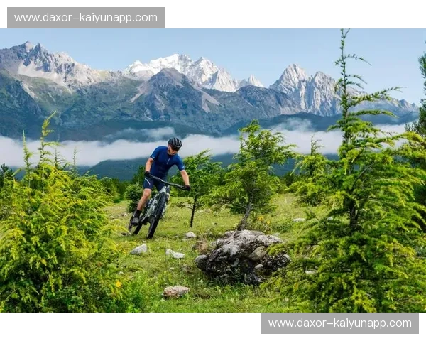 自行车战术师：用策略改变骑行